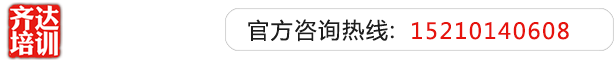 抽查操逼视频齐达艺考文化课-艺术生文化课,艺术类文化课,艺考生文化课logo